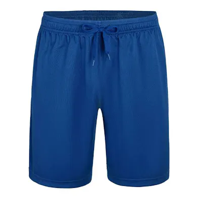 Micro Mesh Athletic Shorts - Royal Blue, XL