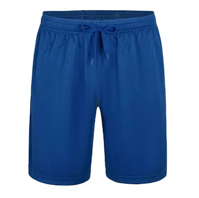 Micro Mesh Athletic Shorts - Royal Blue, 3XL