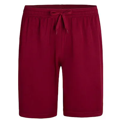 Micro Mesh Athletic Shorts - Wine, Medium
