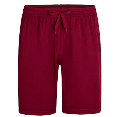 Micro Mesh Athletic Shorts - Wine, 2XL