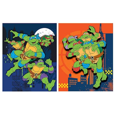 TMNT Portfolios - Assorted