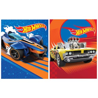 Hot Wheels Portfolios - Assorted