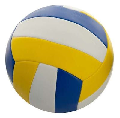 Blue and Yellow Volleyball, Size 5