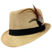 Feather Fedora Hats - Assorted