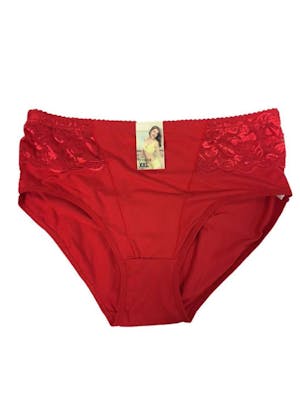 Women's Classic Brief Panties - Assorted