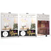 Hello Gorgeous Neon LED Wall Lights