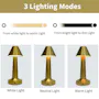 Sensor LED Lamp - Gold (3 of 4)