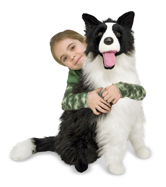 border collie plush