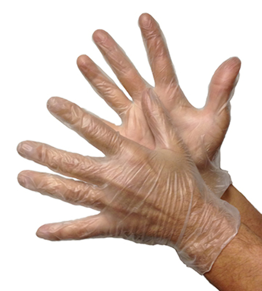 Wholesale Medical Powder free Gloves Clear Medium Vinyl