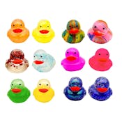 Gummy Ducky Collectible Toys, Assorted