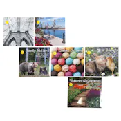 2027 Wall Calendars - 16-Month, Assorted
