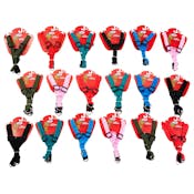 Dog Harnesses - S, M, L, Assorted Colors