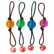 Dog Rope Chew Toys - 4 Colors, Squeaker