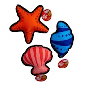 Dog Canvas Chew Toys - Seashell Patterns