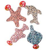 Dog Plush Toys - Cheetah Printed Fish
