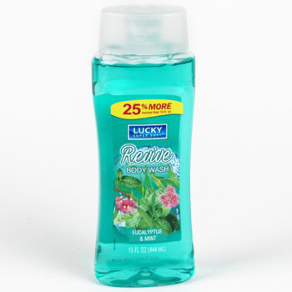Wholesale Eucalyptus Mint Body Wash DollarDays