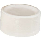 Dixie Dinner Plates - Heavyweight, Nature Theme, White