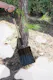 Collapsible Snow Shovel - 36.25" (6 of 6)
