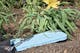 Foam Kneeling Pad - 15" x 7" x 0.75" (5 of 5)