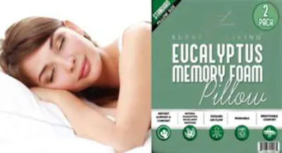 Eucalyptus Infused Pillows - Standard Size, 2 Pack