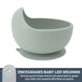 Silicone Suction Scooper Bowl, High Edge (2 of 2)