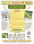 Farm Bingo Game (2 of 2)
