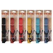Dog Leashes - Assorted, 47"
