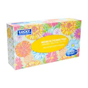 Facial Tissues - 100 Count