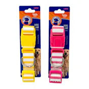 Striped Dog Collars - Large, Assorted