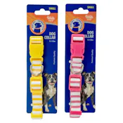 Striped Dog Collars - Small, Assorted