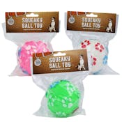 Squeaky Ball Pet Toys - Assorted