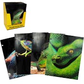 2-Pocket Folders - Reptiles