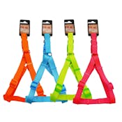 Neon Pet Harnesses - Assorted, Medium