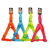 Neon Pet Harnesses - Assorted