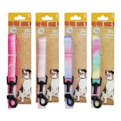 Ombre Pet Leashes - Small
