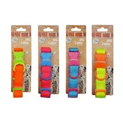 Dog Collars - Neon, Medium