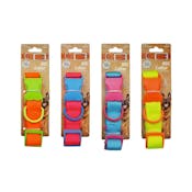 Pet Dog Collars - Neon, Large
