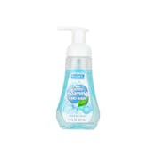 Foaming Hand Soap, Spring, 7.5fl oz.