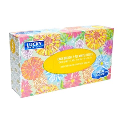 Facial Tissues - 100 Count