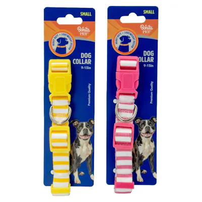 Striped Dog Collars - Small, Assorted