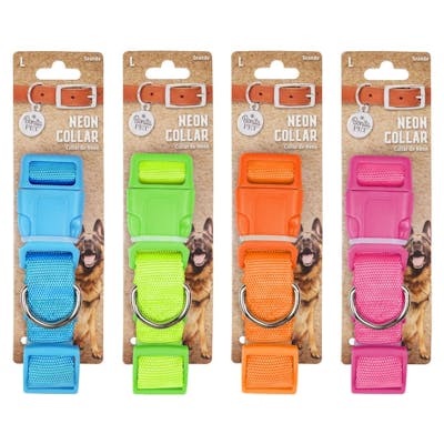Neon Pet Collars - Assorted, Large