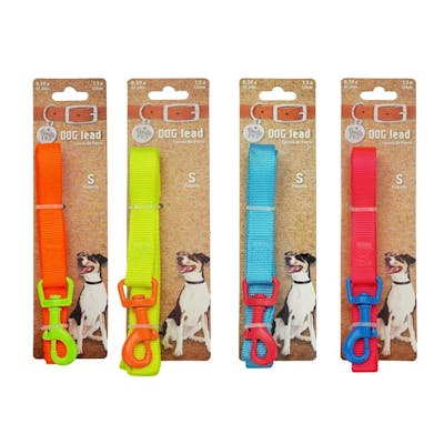 Dog Leashes - Neon, Small