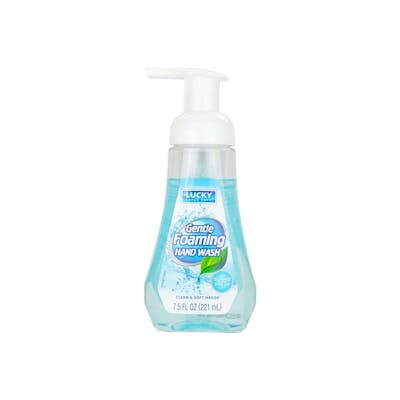 Foaming Hand Soap, Spring, 7.5fl oz.