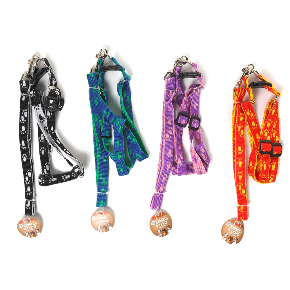 Wholesale Dog Leash & Harness - Assorted Colors