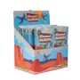 Dinosaur Gliders (1 of 4)