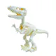 Build Your Own Dinosaur Skeleton (3 of 4)