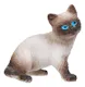 Cat and Dog Figures - Assorted (6 of 6)