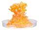 Mini Crystals Growing Kits (3 of 3)