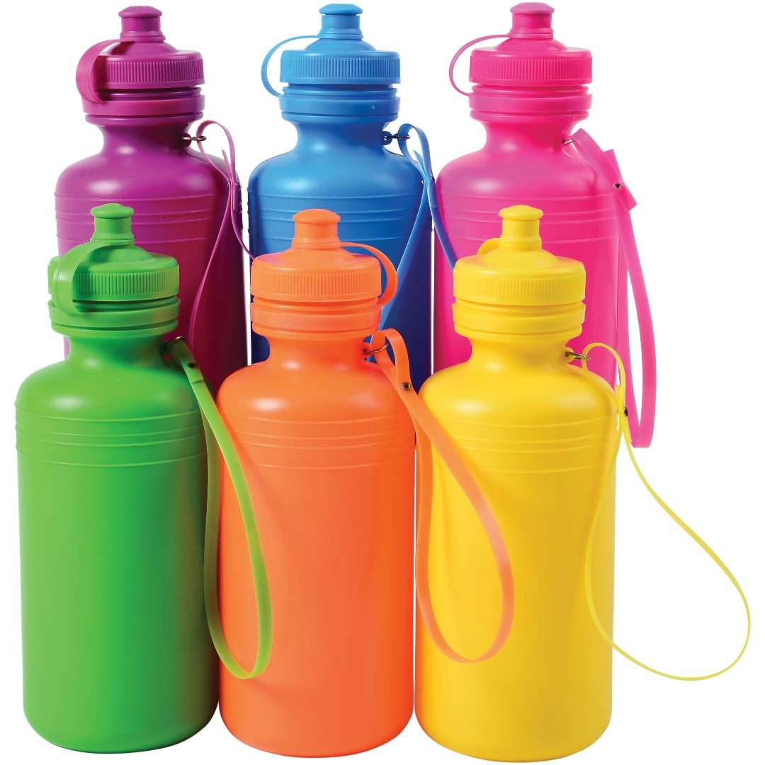 Vacuum Insulated Water Bottles - 16 oz, Assorted