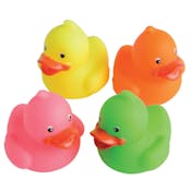 Neon Rubber Ducks - Assorted